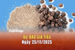 Dự báo giá tiêu 25/11: Tiêu trong nước và thế giới tiếp tục tăng "vọt"