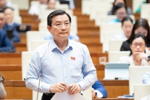 Đề nghị đưa quy định riêng về quản lý nền tảng xuyên biên giới vào Luật Báo chí (sửa đổi)