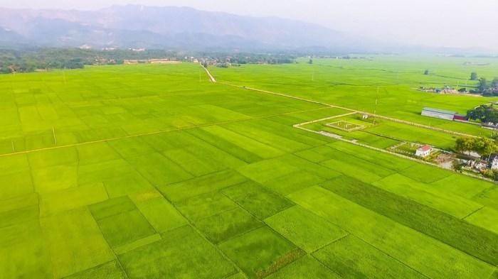 Điện Biên nơi núi rừng đánh thức ký ức và giữ chân du khách bằng vẻ đẹp dịu dàng