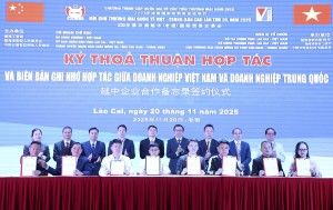 Hội chợ Thương mại Quốc tế Việt – Trung 2025: Dấu ấn kết nối giao thương khu vực