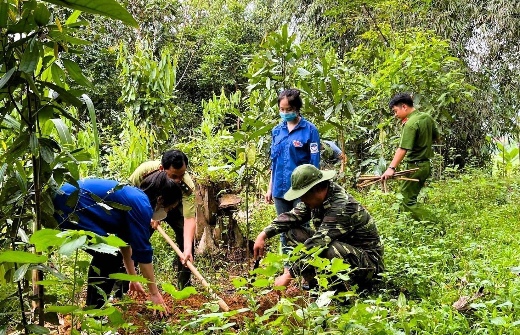 Kết quả ấn tượng trong phát triển rừng nhờ lồng ghép hiệu quả các chương trình lâm nghiệp tại Lào Cai
