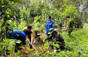 Kết quả ấn tượng trong phát triển rừng nhờ lồng ghép hiệu quả các chương trình lâm nghiệp tại Lào Cai