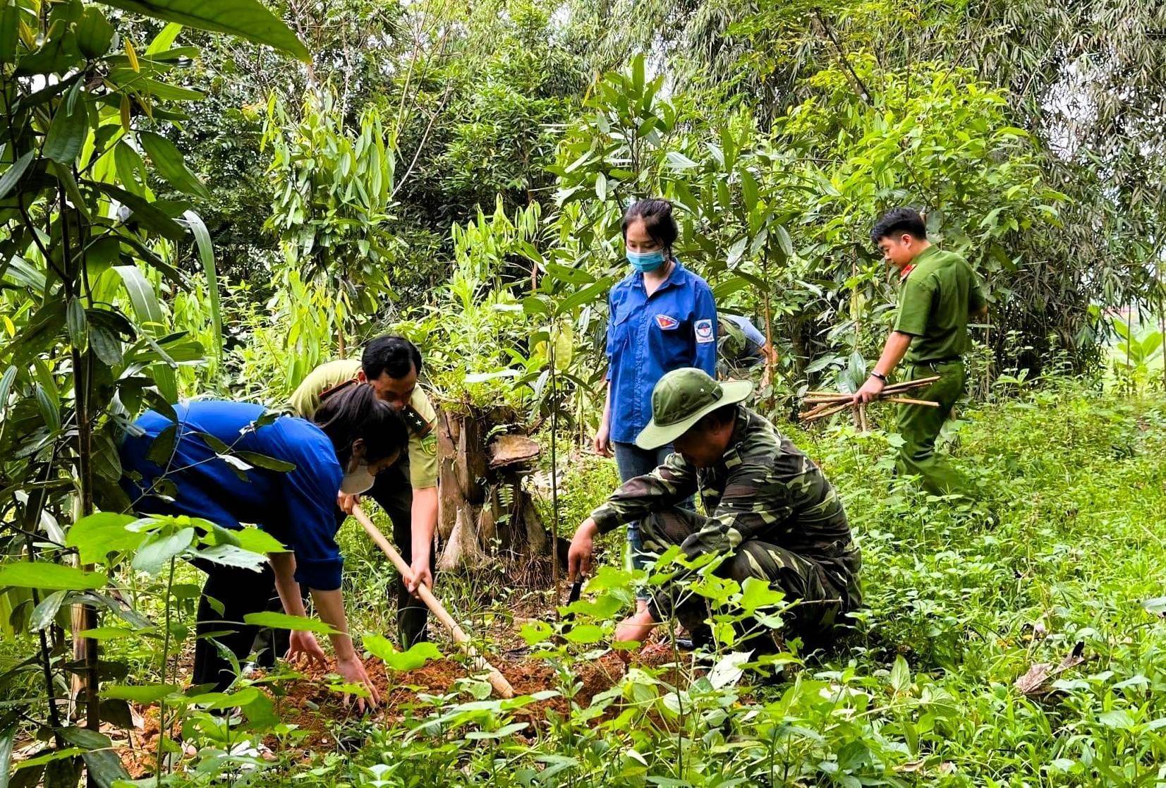 Kết quả ấn tượng trong phát triển rừng nhờ lồng ghép hiệu quả các chương trình lâm nghiệp tại Lào Cai