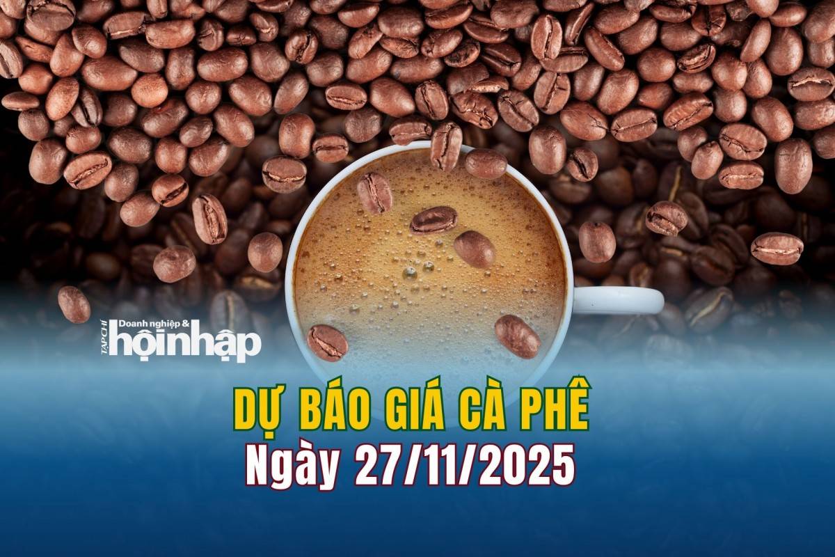 Dự báo giá cà phê 27/11: Cà phê trong nước tiếp tục lao dốc