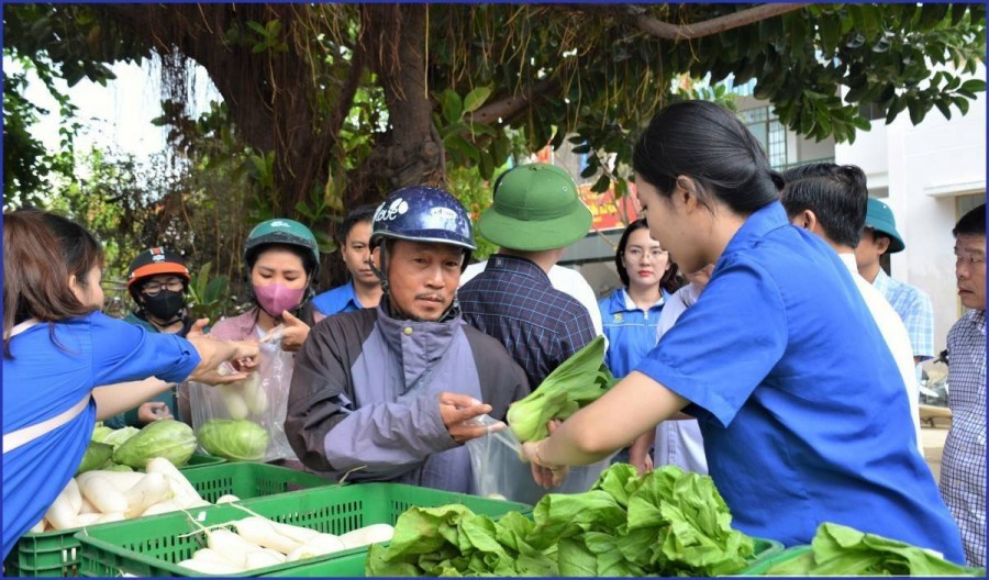 Rau 0 đồng - món quà nghĩa tình gửi đến người dân vùng lũ