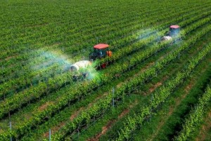 VCCI cảnh báo nguy cơ tăng chi phí nếu ban hành thêm quy chuẩn giảm phát thải