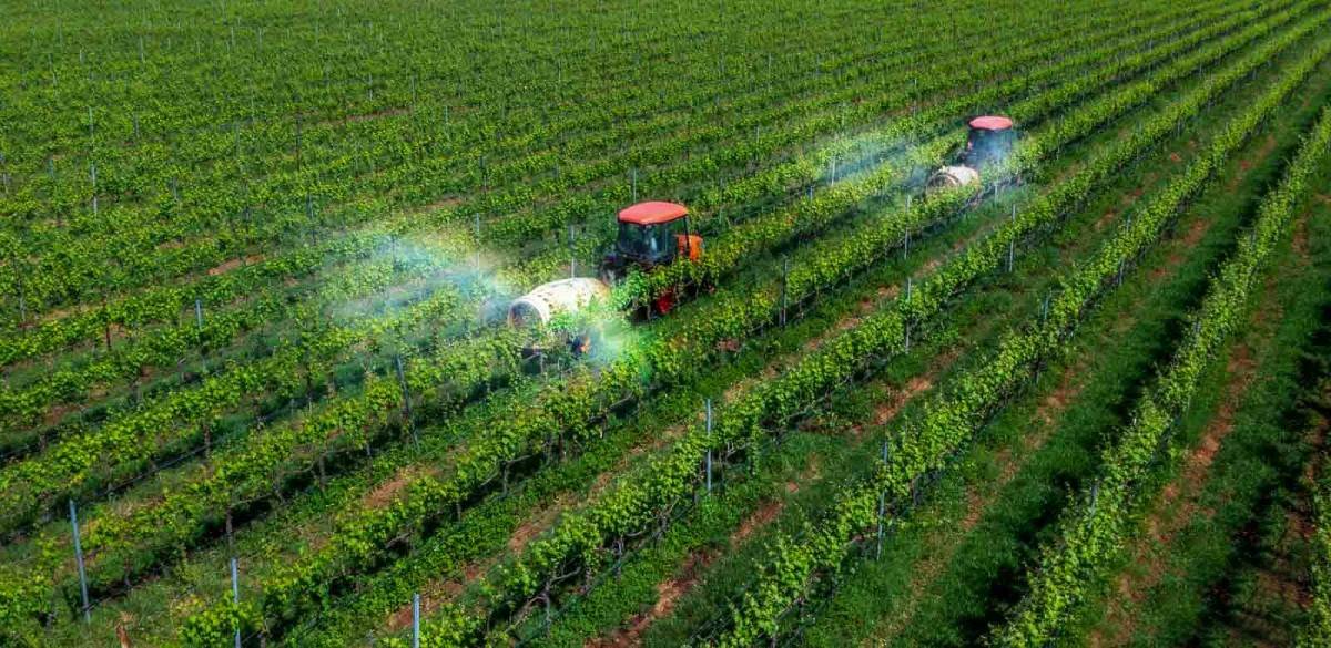 VCCI cảnh báo nguy cơ tăng chi phí nếu ban hành thêm quy chuẩn giảm phát thải