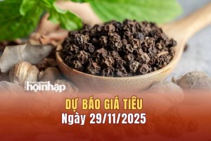 Dự báo giá tiêu 29/11: Tiêu trong nước và thế giới tăng mạnh
