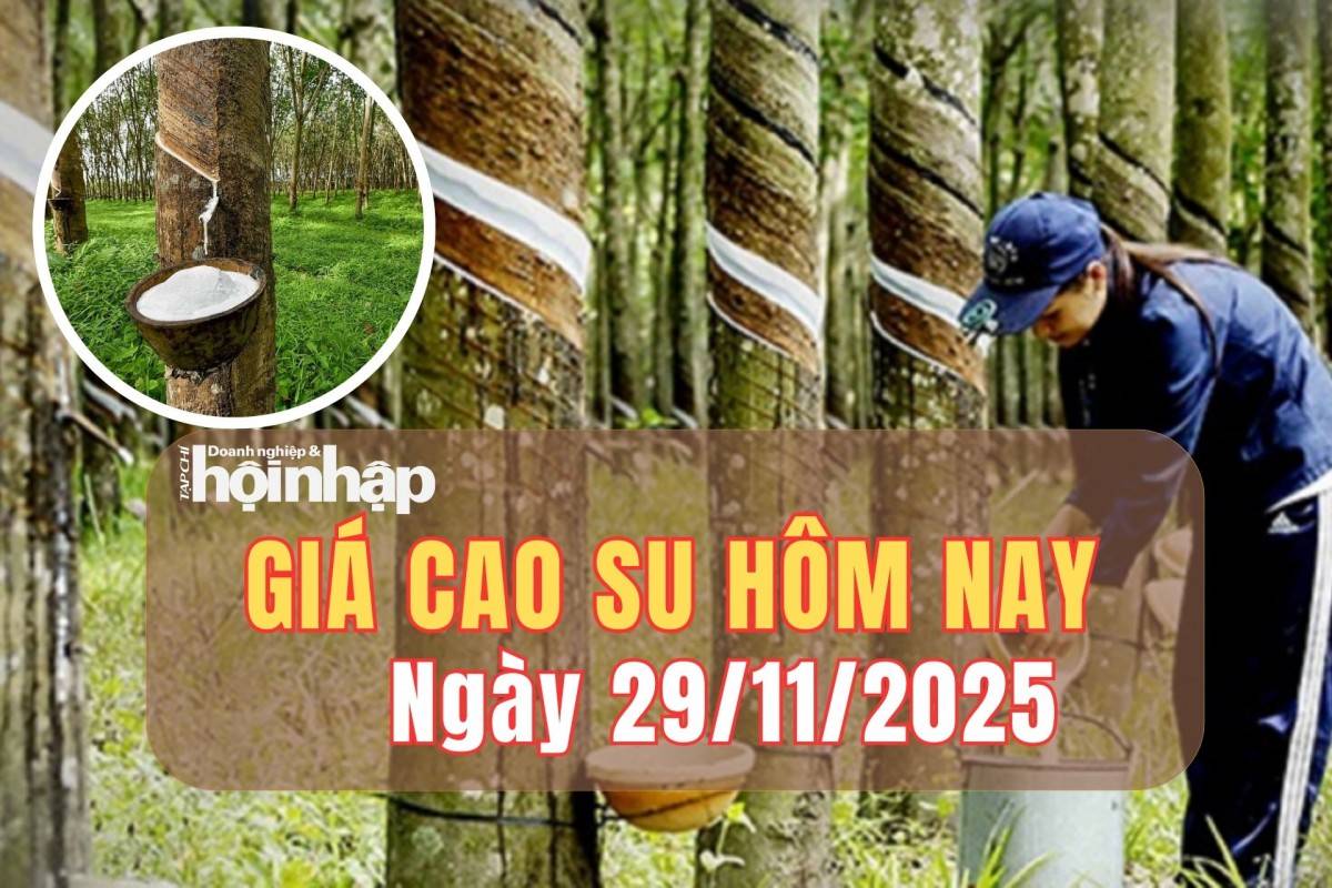 Giá cao su hôm nay 29/11/2025