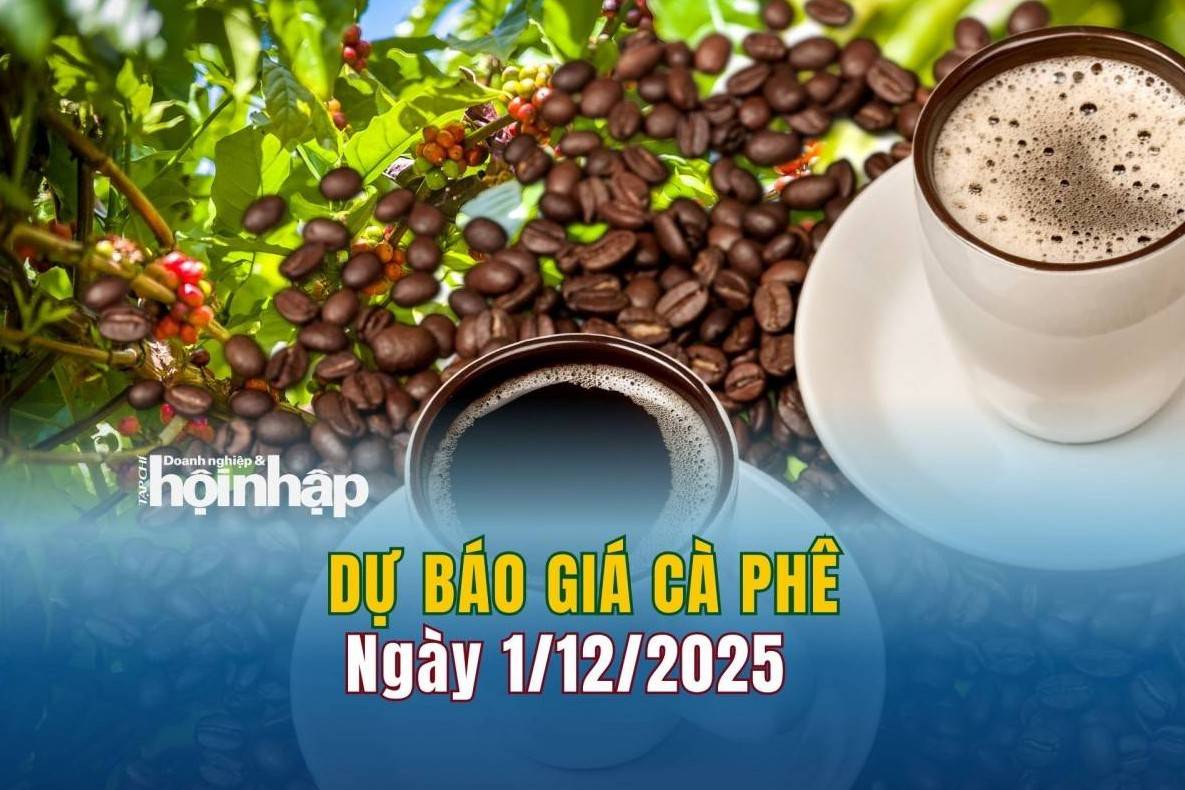 Dự báo giá cà phê 1/12: Cà phê trong nước và thế giới có xu hướng tăng mạnh