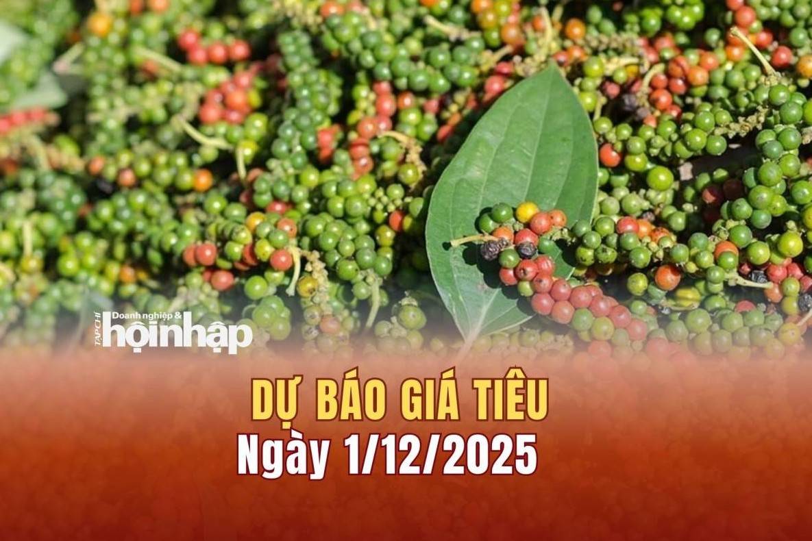 Dự báo giá tiêu 1/12: Tiêu trong nước và thế giới có xu hướng "bật" tăng