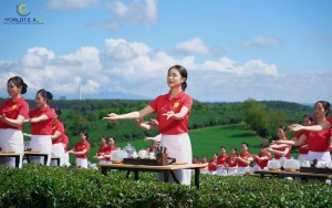 Hơn 1.100 Trà Nương đồng diễn tại Lễ hội Trà Quốc tế 2025 - World Tea Fest 2025