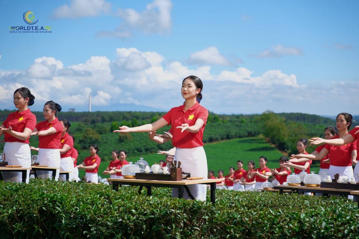 Hơn 1.100 Trà Nương đồng diễn tại Lễ hội Trà Quốc tế 2025 - World Tea Fest 2025