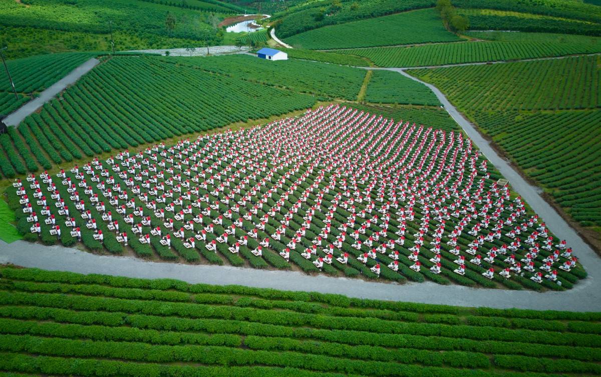 Hơn 1.100 Trà Nương đồng diễn tại Lễ hội Trà Quốc tế 2025 - World Tea Fest 2025