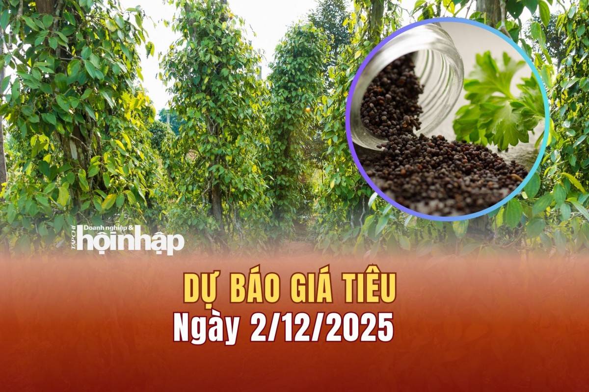 Dự báo giá tiêu 2/12/2025