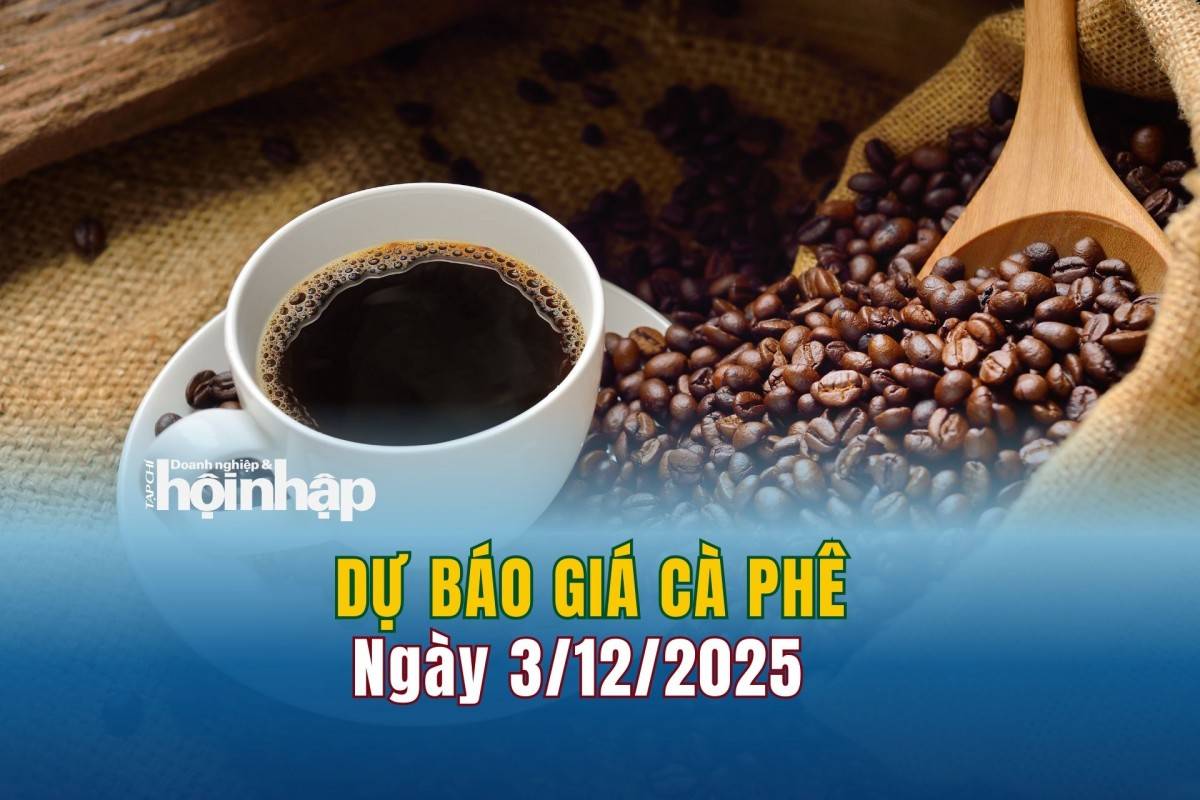 Dự báo giá cà phê 3/12: Cà phê trong nước lao dốc