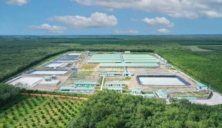 Huy động 1.000 tỷ đồng trái phiếu, Nông nghiệp BaF dùng "chiêu" đảo nợ để nuôi tham vọng mở rộng hệ thống chăn nuôi