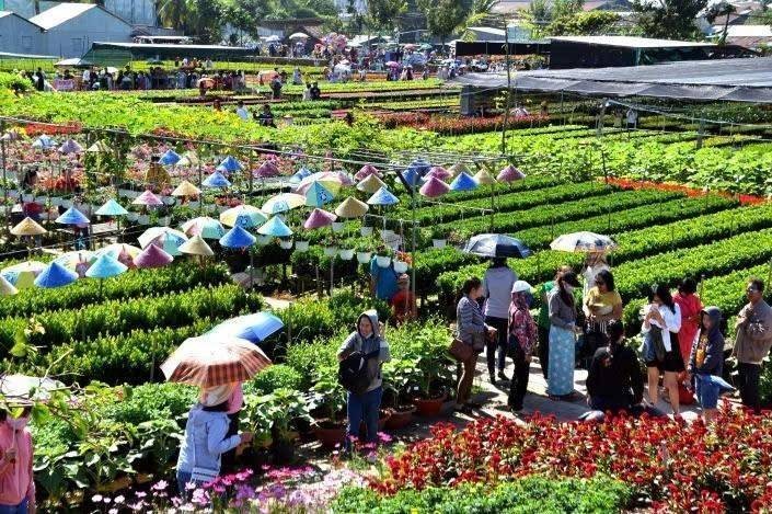 Đồng Tháp: Tăng tốc truyền thông cho Festival Hoa – Kiểng Sa Đéc lần II