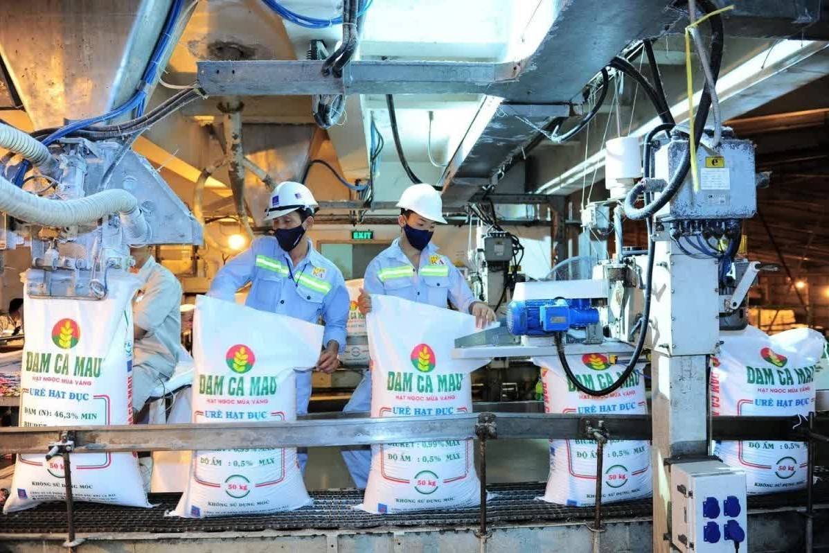 Doanh nghiệp phân bón đồng loạt báo lãi lớn nhờ giá ure tăng mạnh