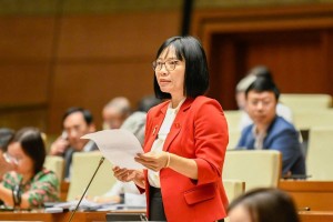 Đại biểu Quốc hội đề nghị sớm lập sàn giao dịch vàng, cảnh báo nguy cơ thiếu điện