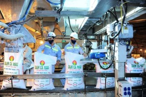 Doanh nghiệp phân bón đồng loạt báo lãi lớn nhờ giá ure tăng mạnh