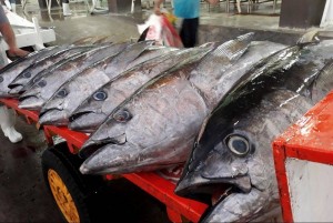 Cá ngừ Việt Nam có thêm dư địa mở rộng thị phần tại Hà Lan nhờ EVFTA