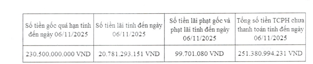 Công ty con của Novaland vỡ tiến độ trả hàng trăm tỷ đồng trái phiếu, hệ số thanh toán lãi vay “ngụp lặn”