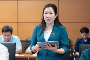 Đại biểu Quốc hội kiến nghị cơ chế đặc thù để khắc phục tình trạng “làng vắng thanh niên”