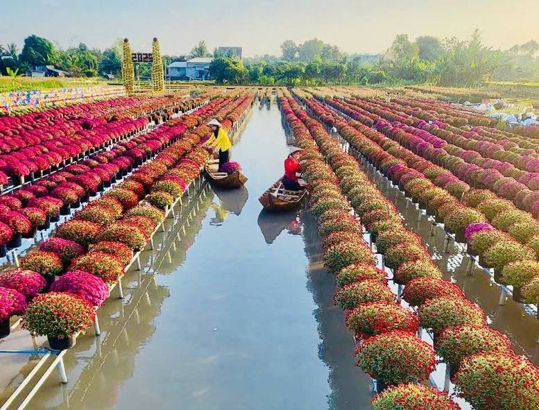 Festival Hoa – Kiểng Sa Đéc Đồng Tháp lần thứ II năm 2025 sẽ diễn ra từ ngày 27/12/2025 đến 04/01/2026, 