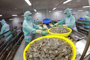 Xuất khẩu thủy sản sang Mỹ đối mặt rủi ro “nghẽn” từ 1/1/2026 vì yêu cầu COA mới