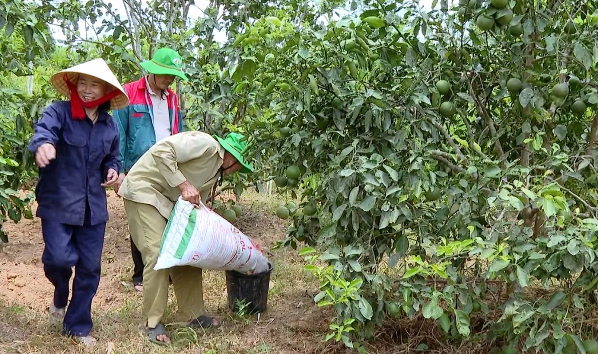 Quảng Trị: Kiến tạo nền nông nghiệp xanh – tuần hoàn – công nghệ cao