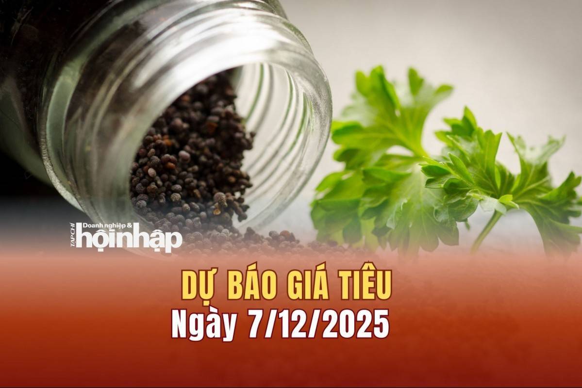 Dự báo giá tiêu 7/12: Tiêu trong nước và thế giới đảo chiều tăng “vùn vụt”