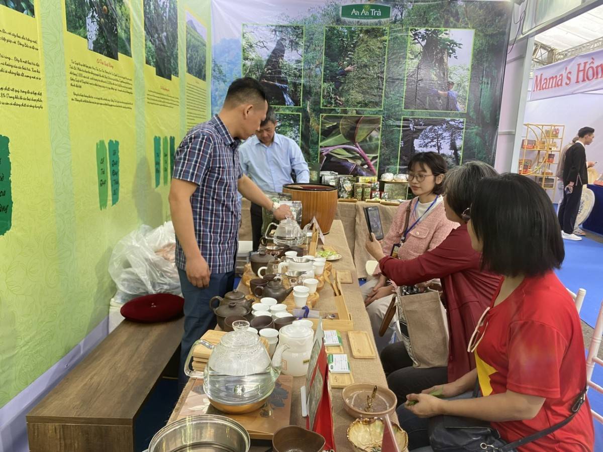 Trà Việt đã xuất khẩu tới 70 quốc gia trên thế giới