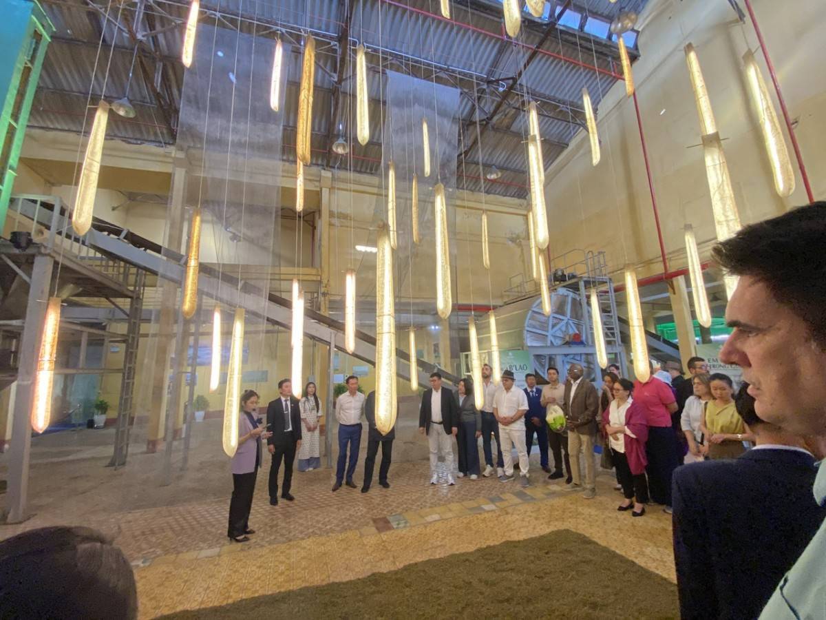 Trà Việt đã xuất khẩu tới 70 quốc gia trên thế giới