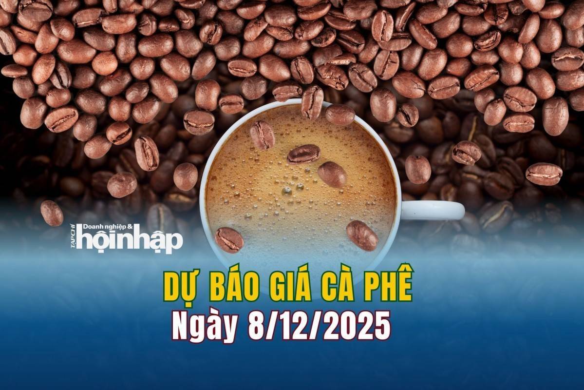 Dự báo giá cà phê 8/12: Cà phê trong nước có xu hướng giảm mạnh
