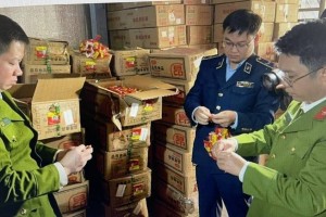 Chính phủ ban hành Nghị quyết 397/NQ-CP: Siết chặt phòng, chống buôn lậu và hàng giả đến năm 2030