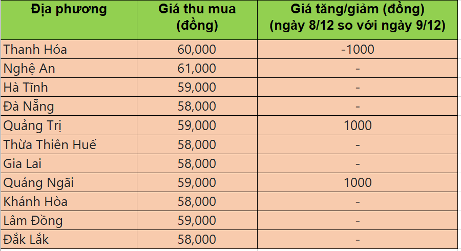 Bảng giá heo hơi tại miền Trung - Tây Nguyên hôm nay 8/12/2025