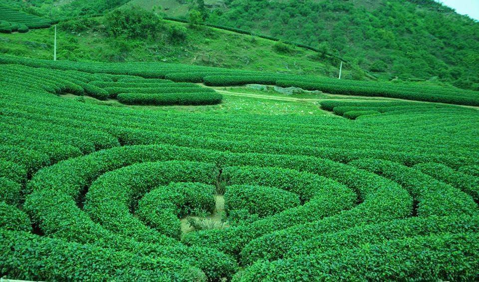 Khám phá Mộc Châu: Vẻ đẹp từng mùa khiến lòng người xao xuyến