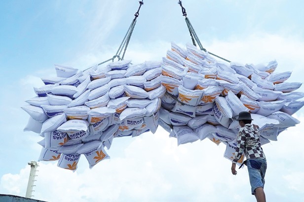 Xuất khẩu gạo Việt tăng tốc cuối năm: Thị trường phục hồi, đơn hàng trở lại