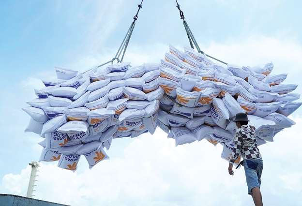 Xuất khẩu gạo Việt tăng tốc cuối năm: Thị trường phục hồi, đơn hàng trở lại