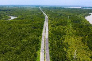 TP. Hồ Chí Minh chấp thuận chủ trương đầu tư tuyến đường sắt Bến Thành – Cần Giờ