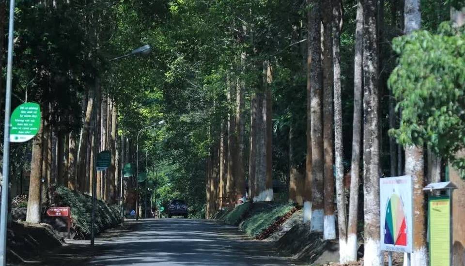 Chi trả dịch vụ môi trường rừng hỗ trợ cải thiện sinh kế cho người dân miền núi