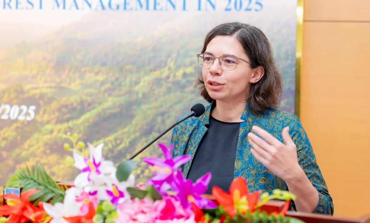 Chi trả dịch vụ môi trường rừng hỗ trợ cải thiện sinh kế cho người dân miền núi