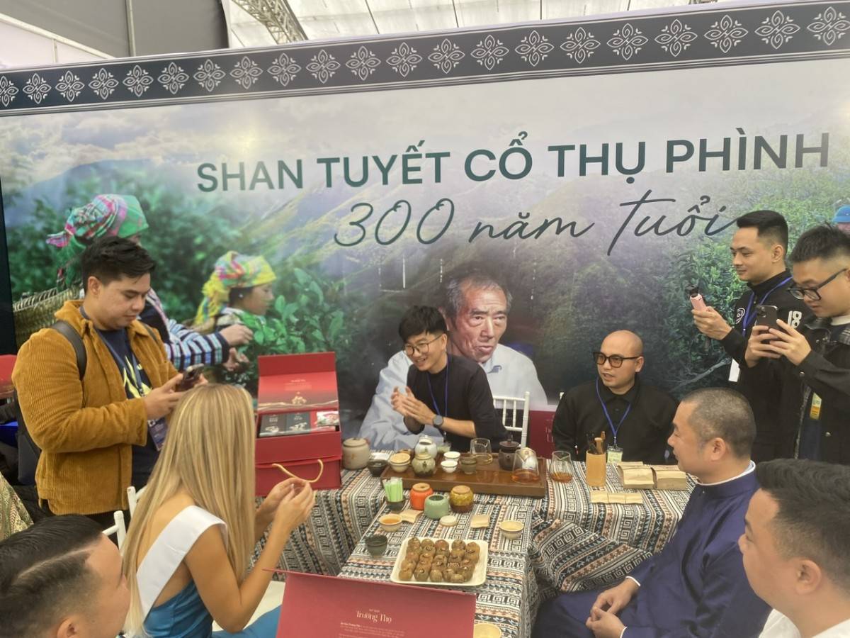 Ngành Trà: Cơ hội tỷ USD khi thức uống sức khỏe lên ngôi