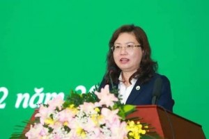 Thúc đẩy đưa các doanh nghiệp FDI quy mô lớn niêm yết