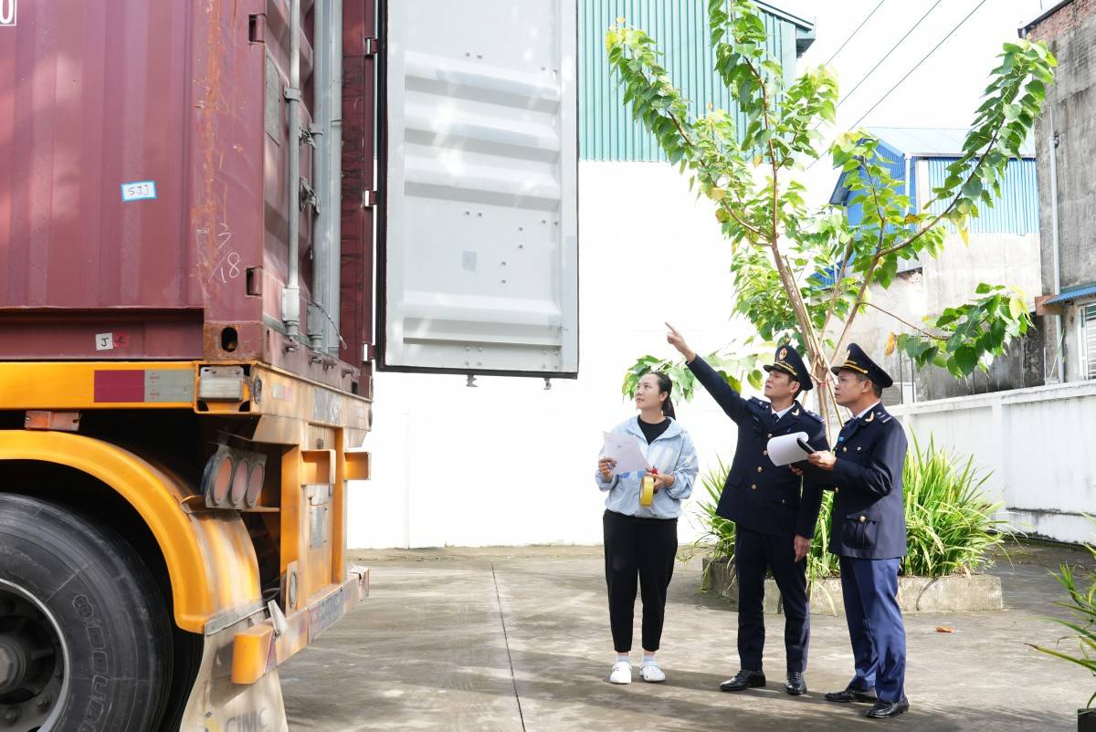 Kim ngạch xuất nhập khẩu giảm, Cục Hải quan siết chặt kiểm soát chống buôn lậu cuối năm