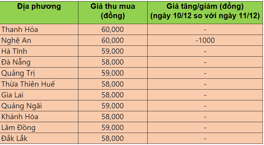 Bảng giá heo hơi tại miền Trung - Tây Nguyên hôm nay 10/12/2025