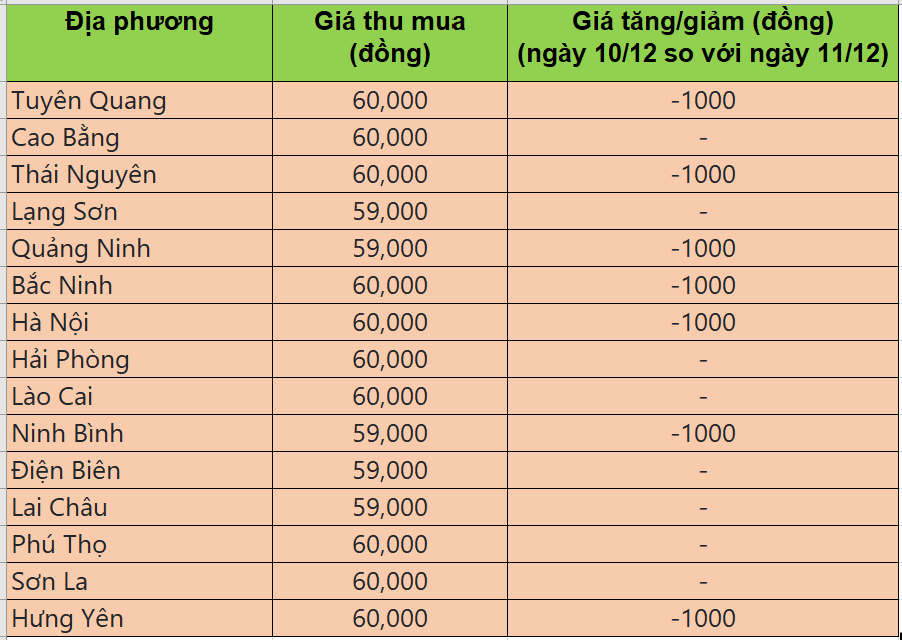 Bảng giá heo hơi tại miền Bắc hôm nay 10/12/2025