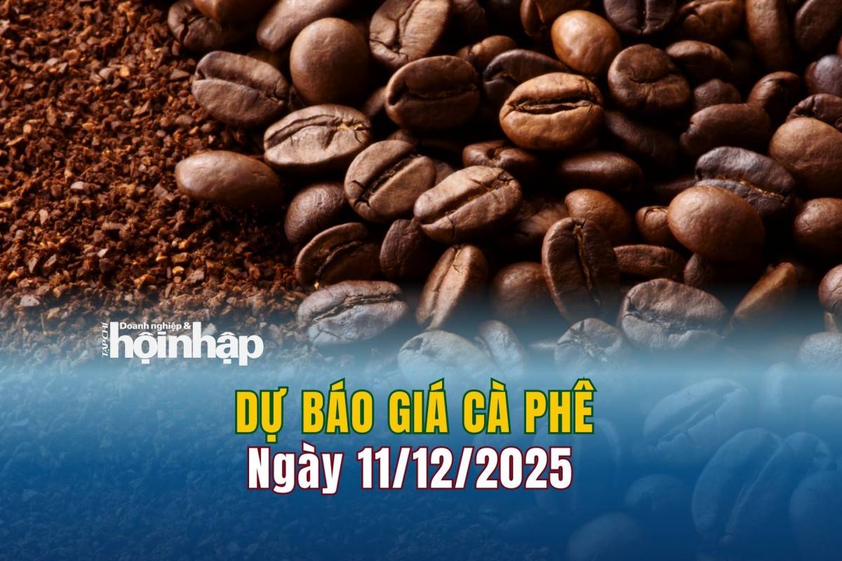 Dự báo giá cà phê 10/12: Cà phê trong nước lao dốc