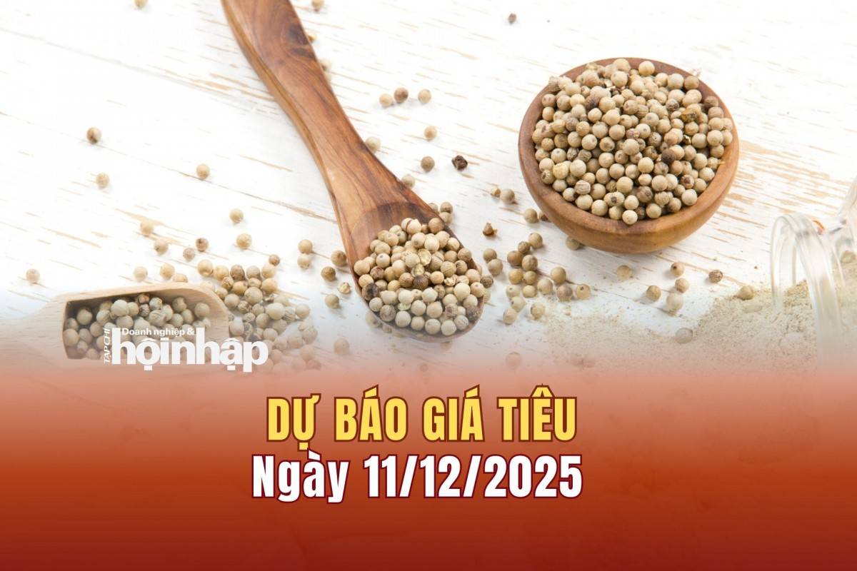 Dự báo giá tiêu 10/12: Giá tiêu trong nước có xu hướng bật tăng